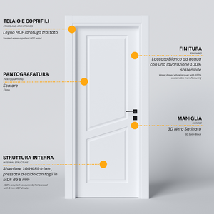 Pantographed Hinged Door with 2 Diagonal Clews