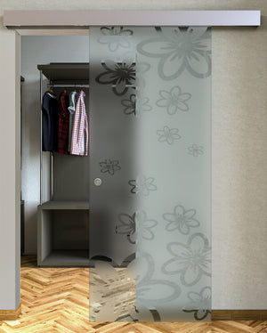 Sliding Sandblasted Glass Door and Transparent Design with Compact Track